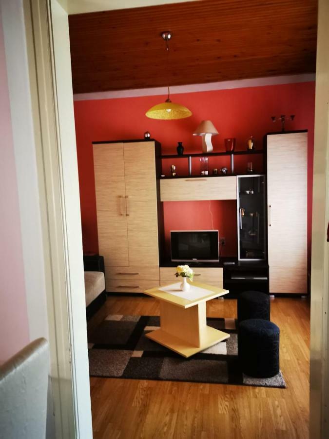 Apartment Luka Soko Banja