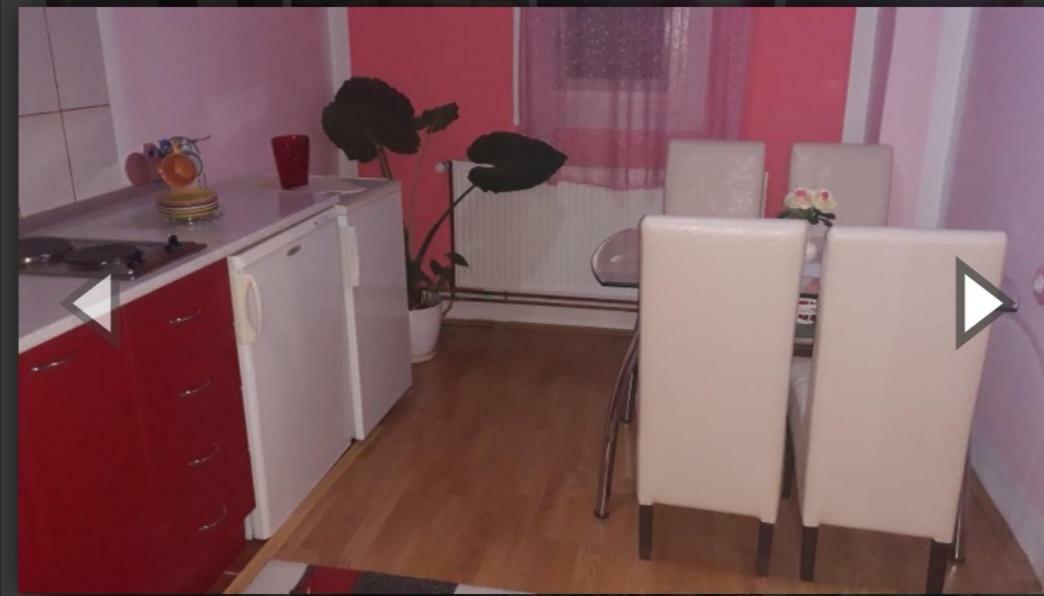 Apartment Luka Soko Banja